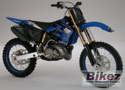 2004 TM Racing MX 250 Cross photo